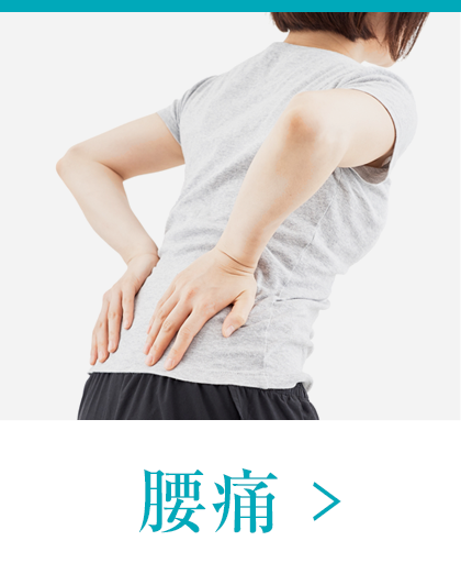 腰痛、ぎっくり腰、坐骨神経痛、ヘルニア